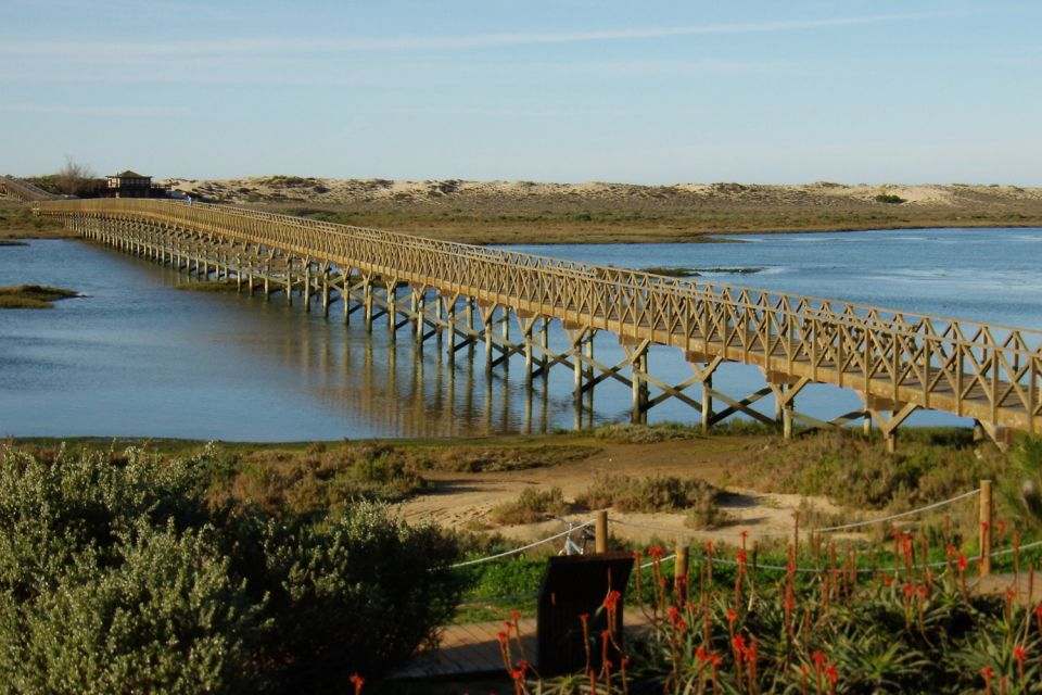 Ria Formosa 3-Hour Bike Tour - Experience Highlights