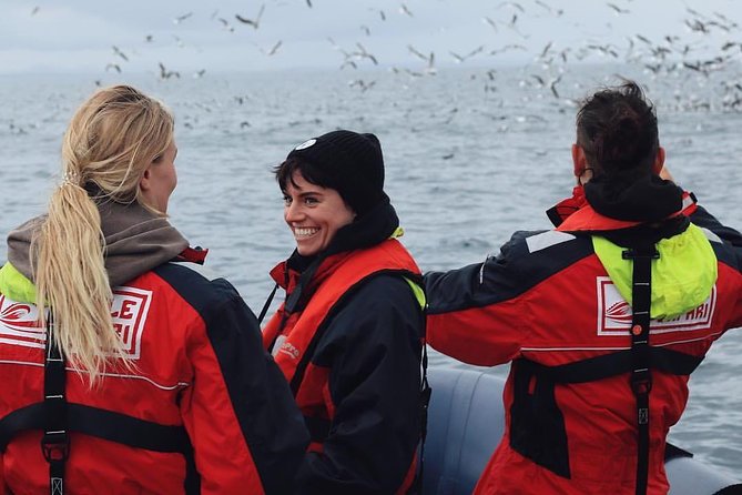 RIB Whale Watching Small-Group Boat Tour From Reykjavik - Whats Included