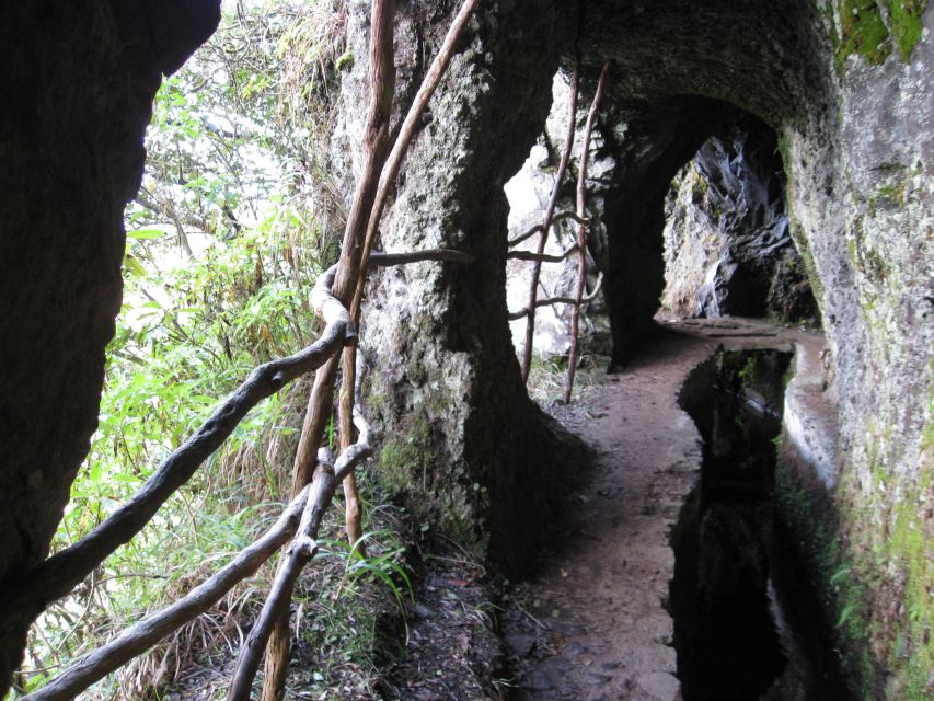 Ribeiro Frio / Portela - Levada Walk - Highlights