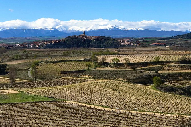Rioja Wineries and Laguardia Tour With Picnic From San Sebastian - Inclusions