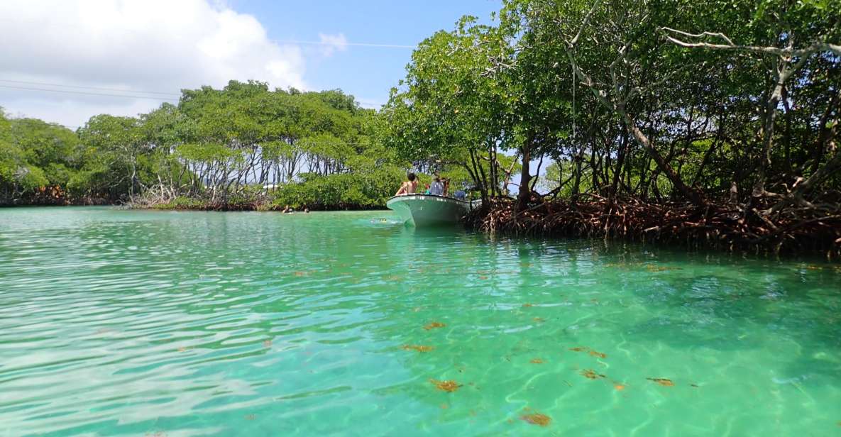 Roatan: Mangrove Tunnel Tour With Snorkeling - East Island Tour