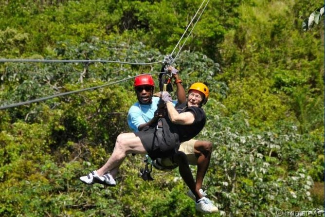 Roatan Shore Excursion: Zip N Dip Canopy Tour - Activities and Inclusions