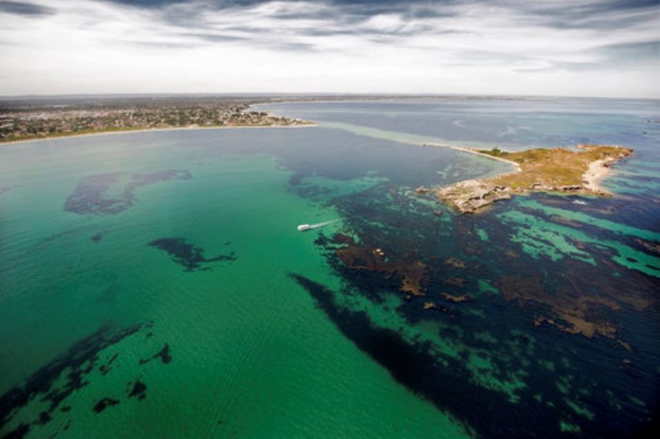 Rockingham: Shoalwater Islands Tour and Penguin Island - Tour Highlights