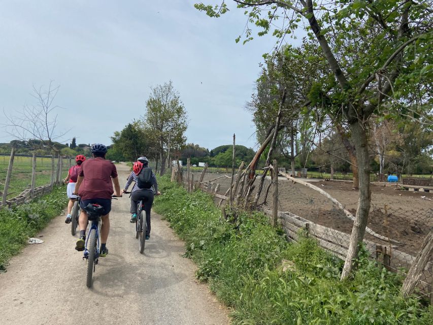 Rome: Appian Way Guided Tour on E-Bike With Wine Tasting - Exploring the Appian Way