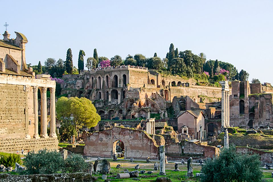 Rome: Guided Tour of Colosseum, Roman Forum & Palatine Hill - Cancellation Policy