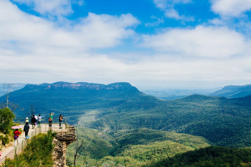 Roos, Blues & Views - Activity Highlights