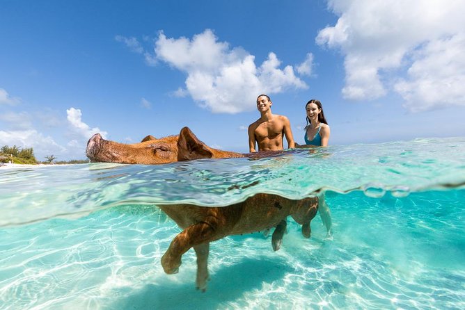 Rose Island Bahamas Original Swimming Pigs and Snorkeling - Inclusions and Amenities