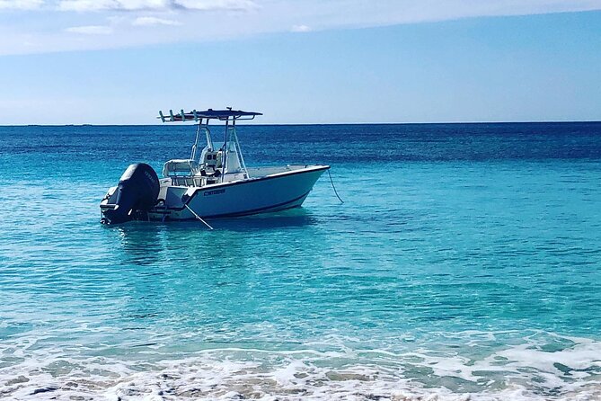 Rose Island Half-Day Snorkeling Cruise - Health and Safety Guidelines