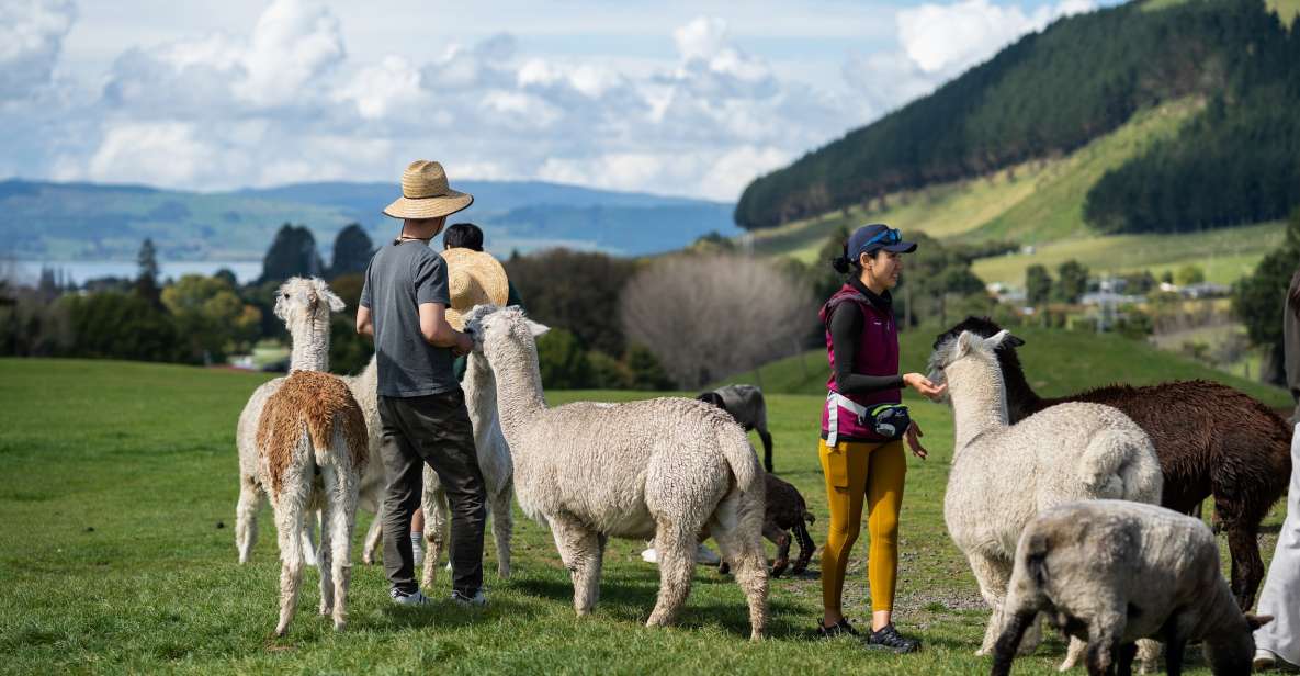 Rotorua: Agrodome Farm Tour With Show and Produce Tasting - Tour Highlights