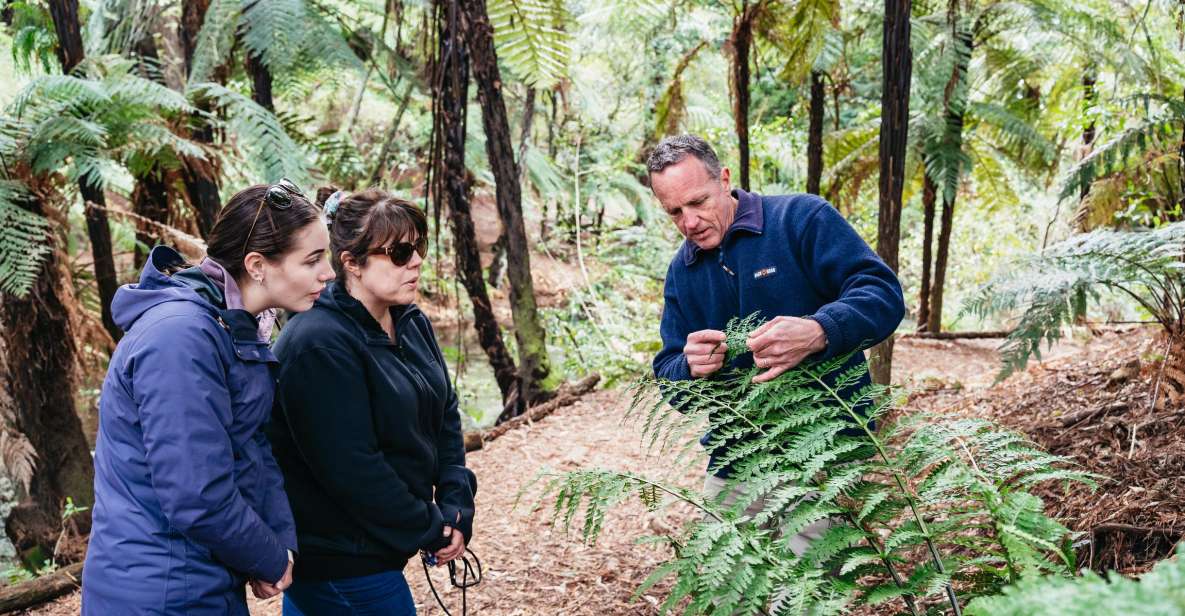 Rotorua: Explore The Lakes Half-Day Morning Tour - Pricing Details