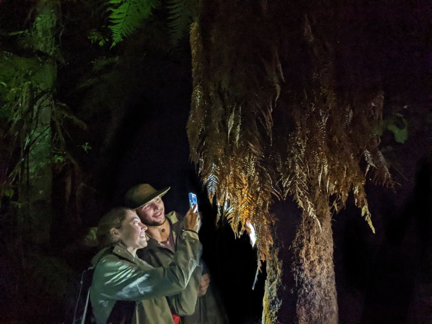 Rotorua: Nocturnal Glow Worm Tour With a Guide - Tour Highlights