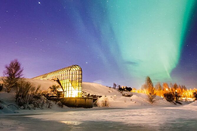 Rovaniemi Santa Claus Village Husky Reindeer Farm Arctic Museum - Highlights of Rovaniemi