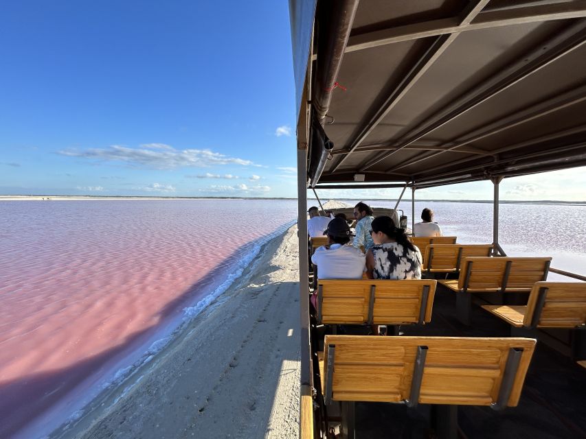 Safari Tour Around the Pink Lakes of Las Coloradas - Inside the Salt Production Plant