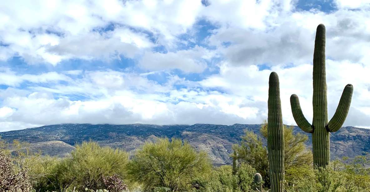 Saguaro National Park: Day Tour & Hike - Tour Description