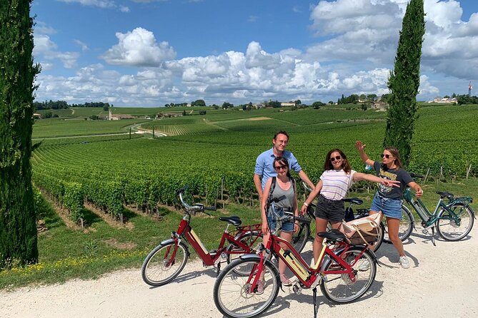 Saint-Emilion E-bike Wine Tour, 2 Wineries & Gourmet Picnic Lunch - Included Experiences