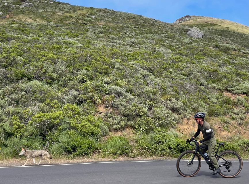 San Francisco: Marin Headlands Gravel Biking Tour +GG Bridge - Highlights and Inclusions