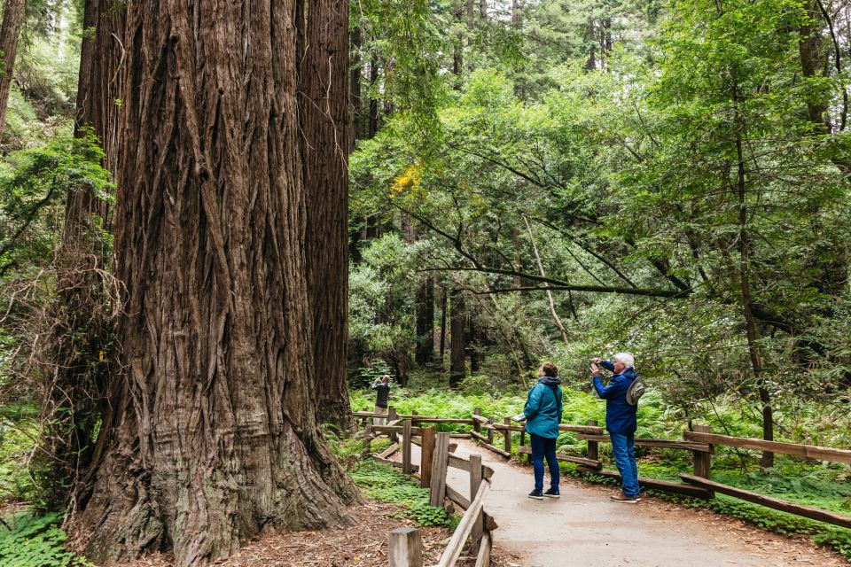 San Francisco: Muir Woods, Napa & Sonoma Valley Wine Tour - Itinerary