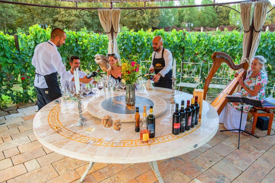 San Gimignano: Exclusive and Private Canopy Dinner in Winery - Language Options and Highlights