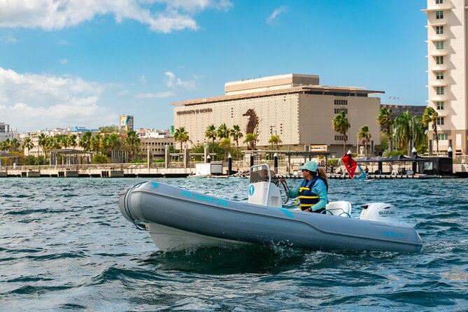 San Juan Mini Boat Tour - Inclusions and Amenities