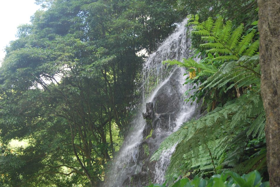 São Miguel: Full-Day Nordeste & Waterfall Tour With Lunch - Highlights