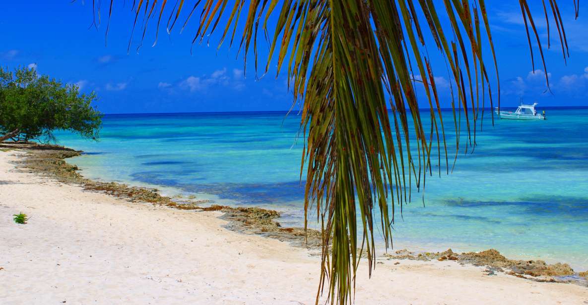 Saona Island: All-Inclusive Full-Day Tour - Transportation Details