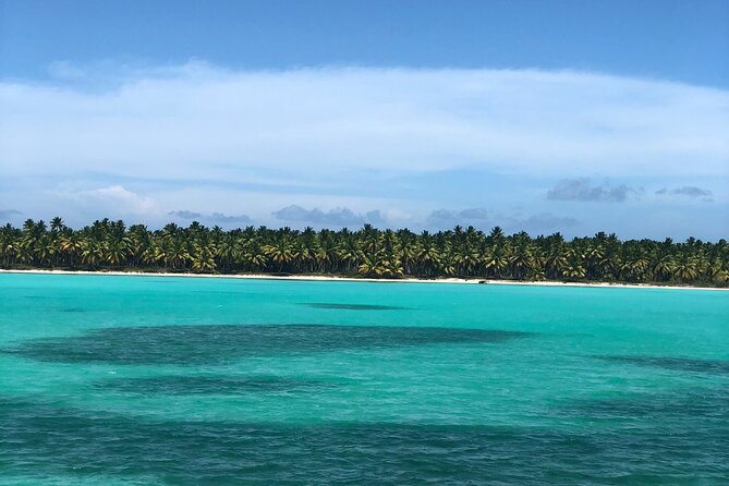 Saona Island for Carnival Cruise Passengers From La Romana Port - Experience and Activities Offered