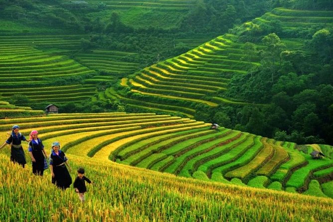 Sapa 3 Days 2 Nights ( 01 Night in Hotel, 01 Night in Homestay) - Itinerary Highlights