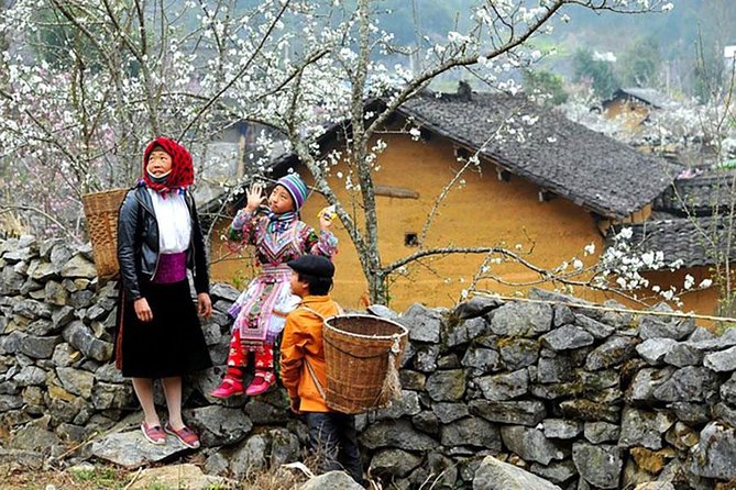 Sapa 3 Days 2 Nights Trekking Tour From Hanoi (2 Nights in Hotel) - Included in the Tour