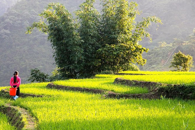 Sapa Valley Trek and Homestay - 3D2N - Meeting and Pickup