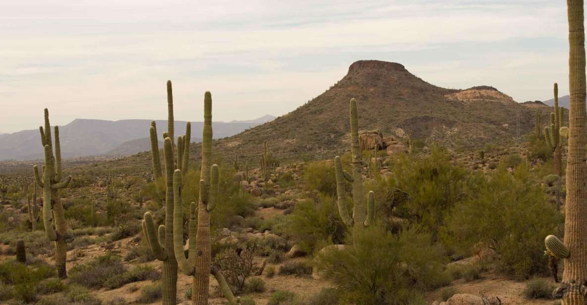 Scottsdale: Half-Day Sonoran Desert Hiking Tour - Inclusions