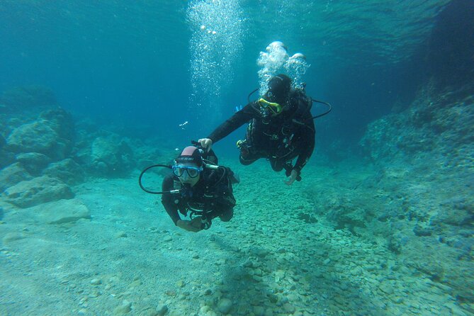 Scuba Diving for Beginners in Chania - Explore Aegean Sea Marine Life