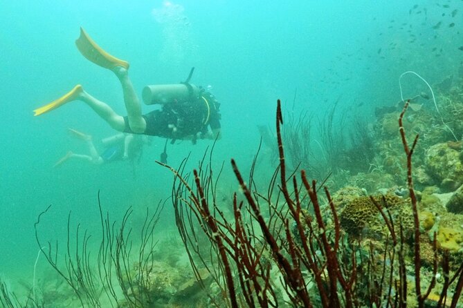 Scuba Diving for Certified Divers in Phu Quoc Island - Inclusions of the Tour