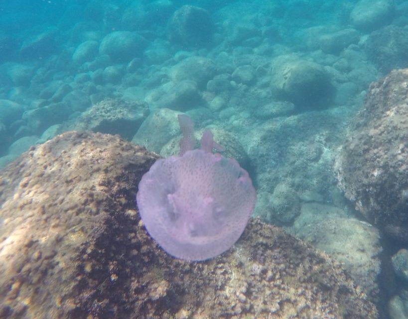 Scuba Diving for Experts in Aci Castello With a Light Lunch - Itinerary