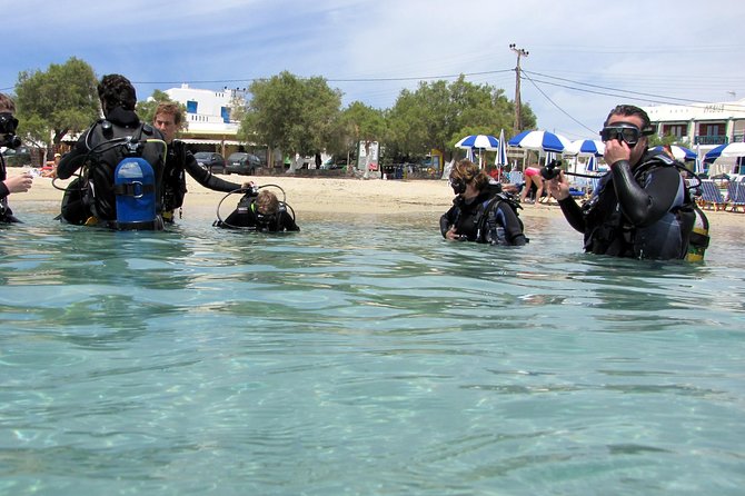 Scuba Diving in Naxos by Bluefindivers - Dive in Greece - Amazing Diving Spots - Diving Instruction and Safety