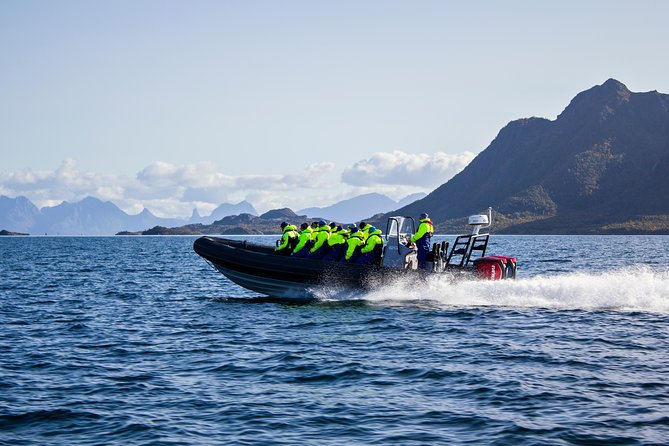 Sea Eagle Safari From Svolvær to Trollfjorden - Exploring the RIB Safari Experience