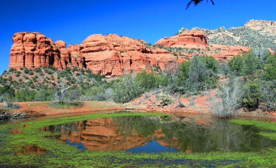 Sedona 2-Hour Jeep Tour of Red Rock West - Red Rock Exploration