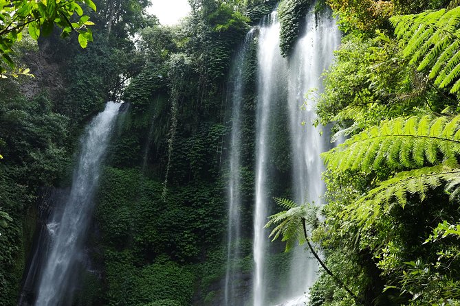 Sekumpul and Banyumala Waterfalls Hiking Tour (Private & All-Inclusive) - Requirements