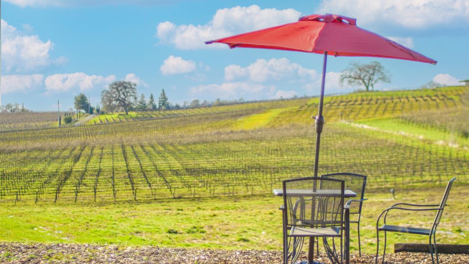 Self-Guided Wine Tasting Audio Tour - Calaveras County - Immersive Digital Navigation