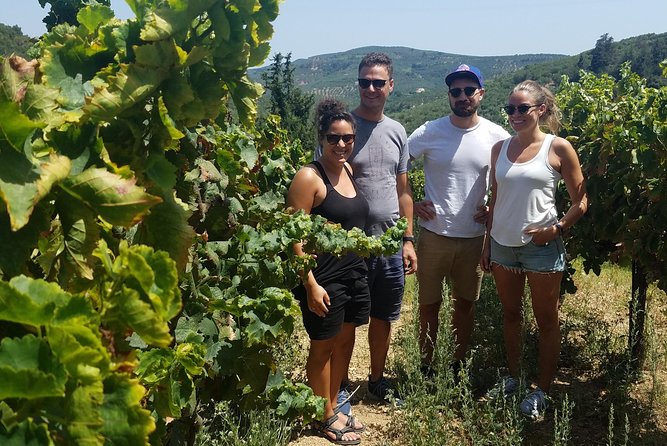 Semi-Private Wine Discovery Tour in Chania - Exclusive Behind-the-Scenes Experiences