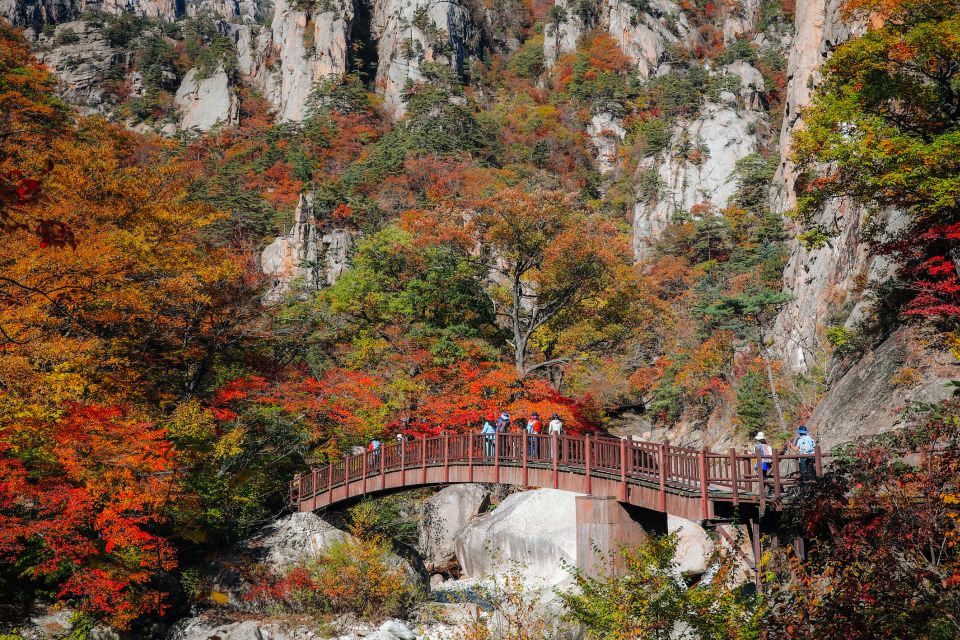 Seoul: Mt Seorak Hike With Naksansa Temple or Nami Island - Pickup and Meeting Location