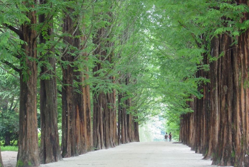 Seoul To/From Nami Island: Round-Trip Shuttle Service - Departure and Return