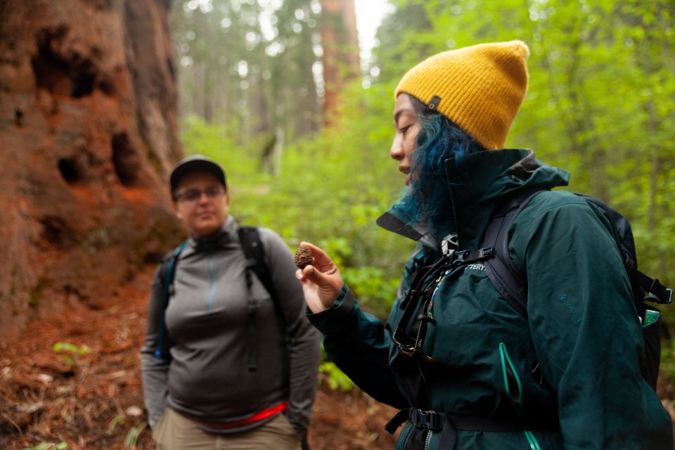 Sequoia: Private Tour & Hike - Language and Group Details