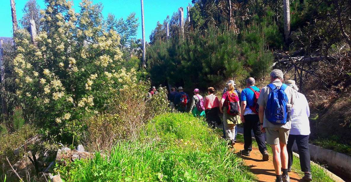 Serra De Água Valley Levada Walk - Experience Highlights