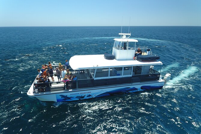 Shared Two-Hour Whale Watching Tour From Oceanside - Inclusions and Exclusions