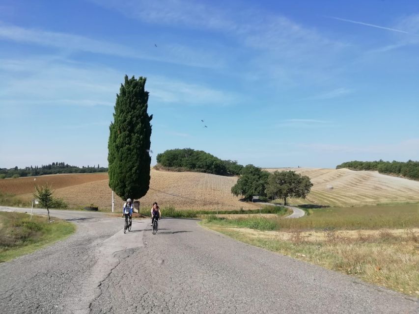 Siena: Chianti Classico Guided Cycling Tour - Inclusions