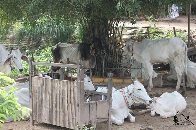 Silk Island & Countryside of Phnom Penh by Tuk Tuk - Mekong River Crossing