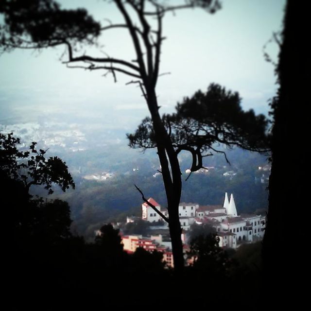 Sintra: Legends and Medieval Stories Private Walking Tour - Sintra Castle and the Reconquista