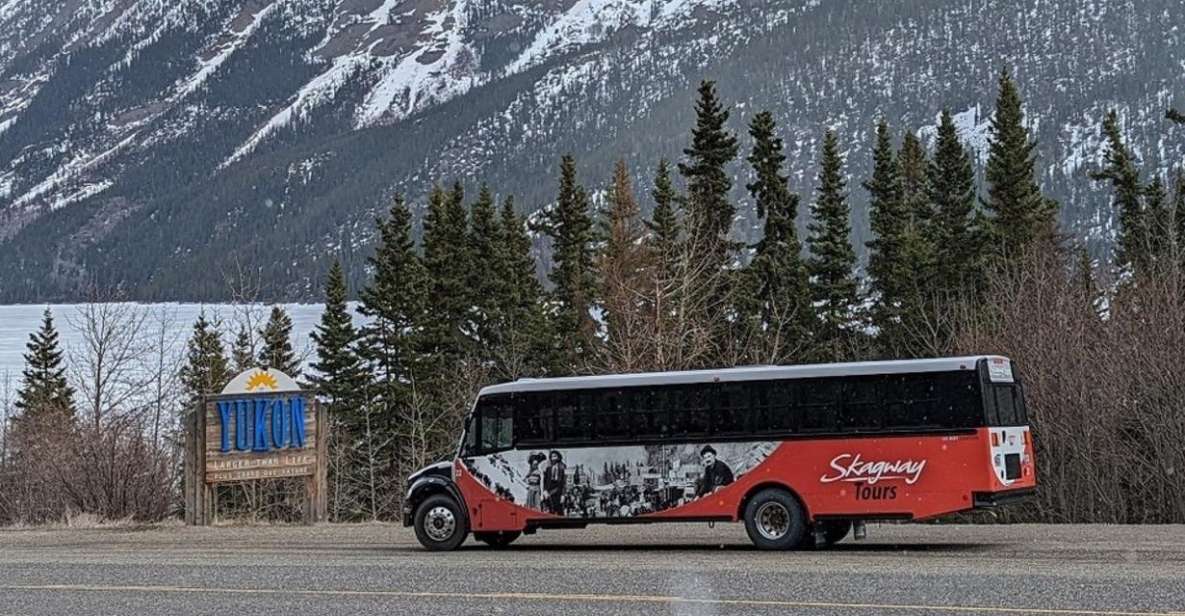 Skagway: Klondike Highway & Yukon Bus Tour With Husky Kennel - Reaching the White Pass Summit