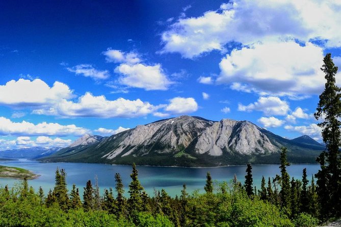 Skagway Shore Excursion: Full-Day Tour of the Yukon - Inclusions and Itinerary