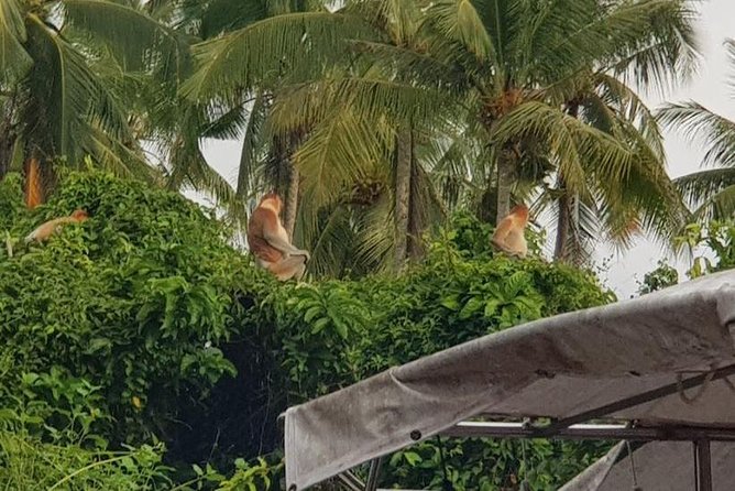 Sky-Mirror Photographing and Proboscis Monkey & Fireflies Watching River-Cruise - Included in the Tour